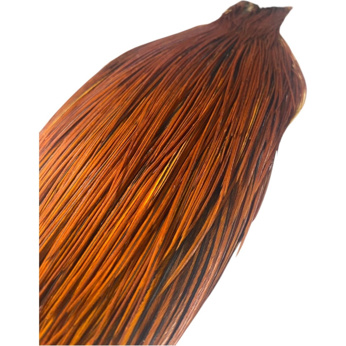 画像4: WHITING Heritage Rooster  Cape ルースターケープ Pro Grade  HERC9 ホワイティング  (4)