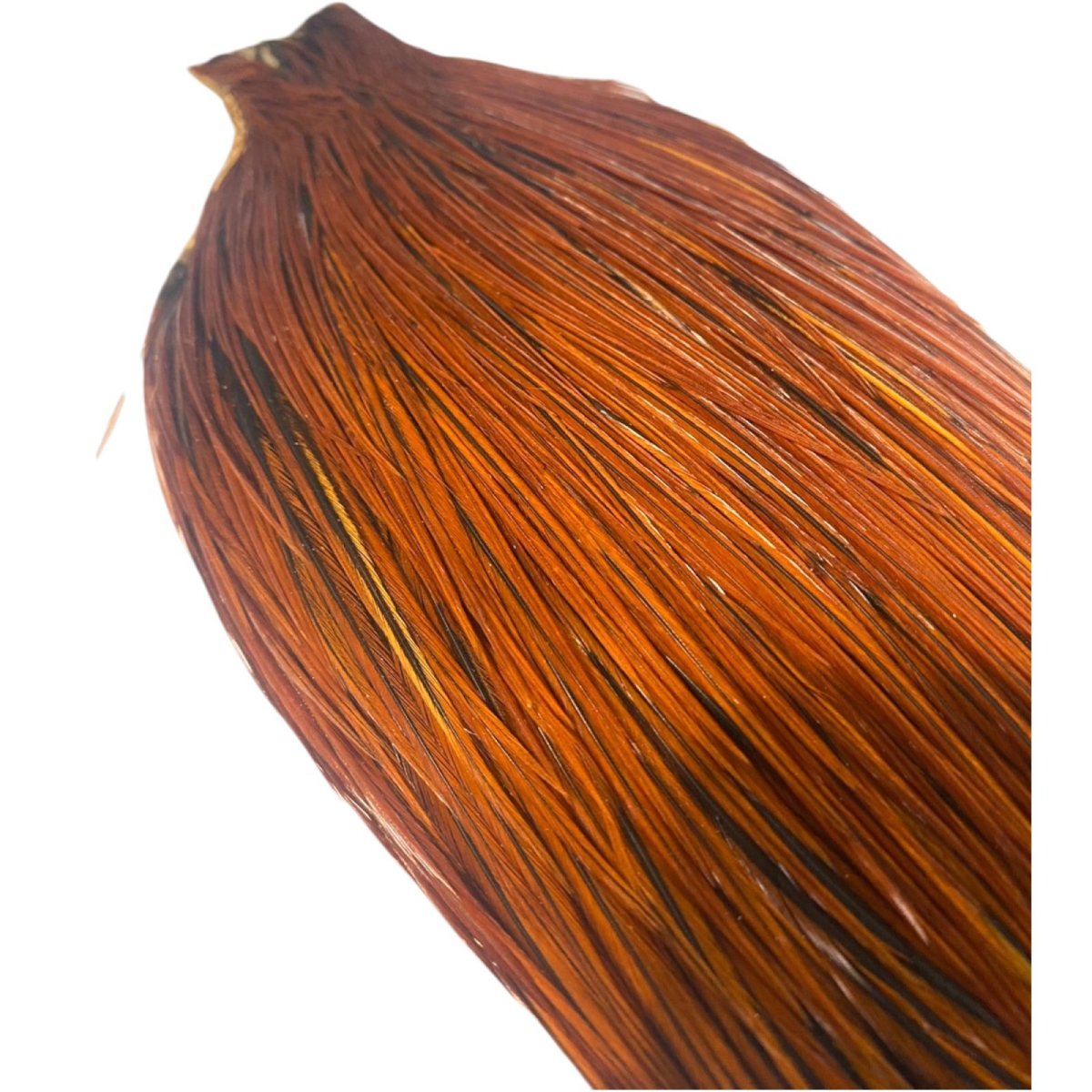 画像5: WHITING Heritage Rooster  Cape ルースターケープ Pro Grade  HERC9 ホワイティング  (5)