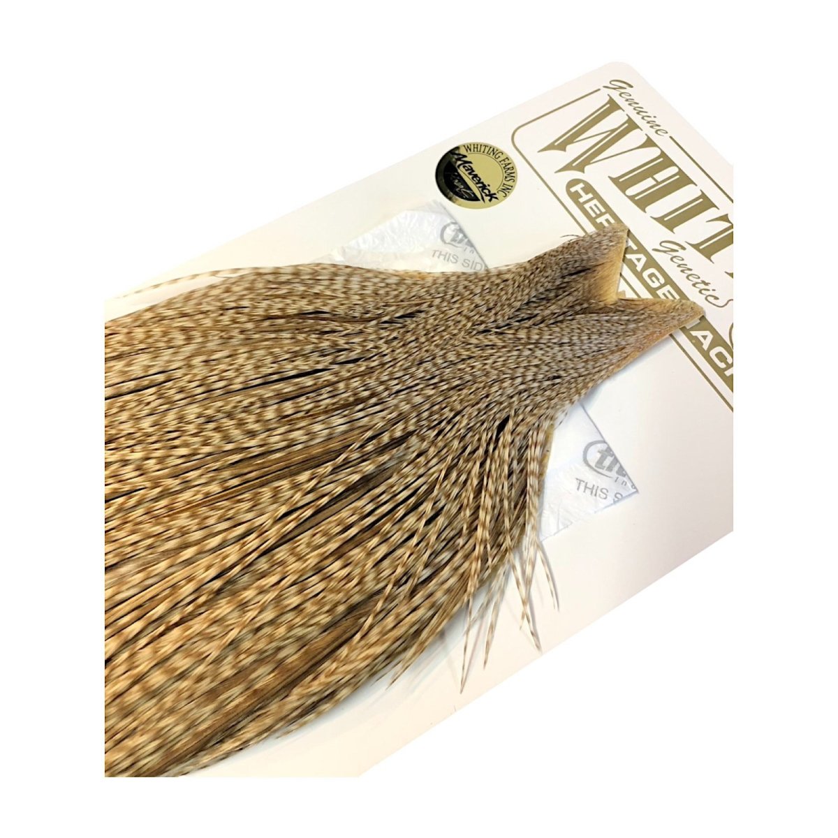 画像5: WHITING　Heritage　Rooster  Cape　ルースターケープ 　HERC32　ホワイティング　 (5)