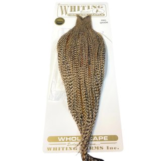 フライタイイング　マテリアル　ホワイティング ルースターケープ　＃GOLD フライタイイング マテリアル ホワイティング ルースターケープ ＃GOLD