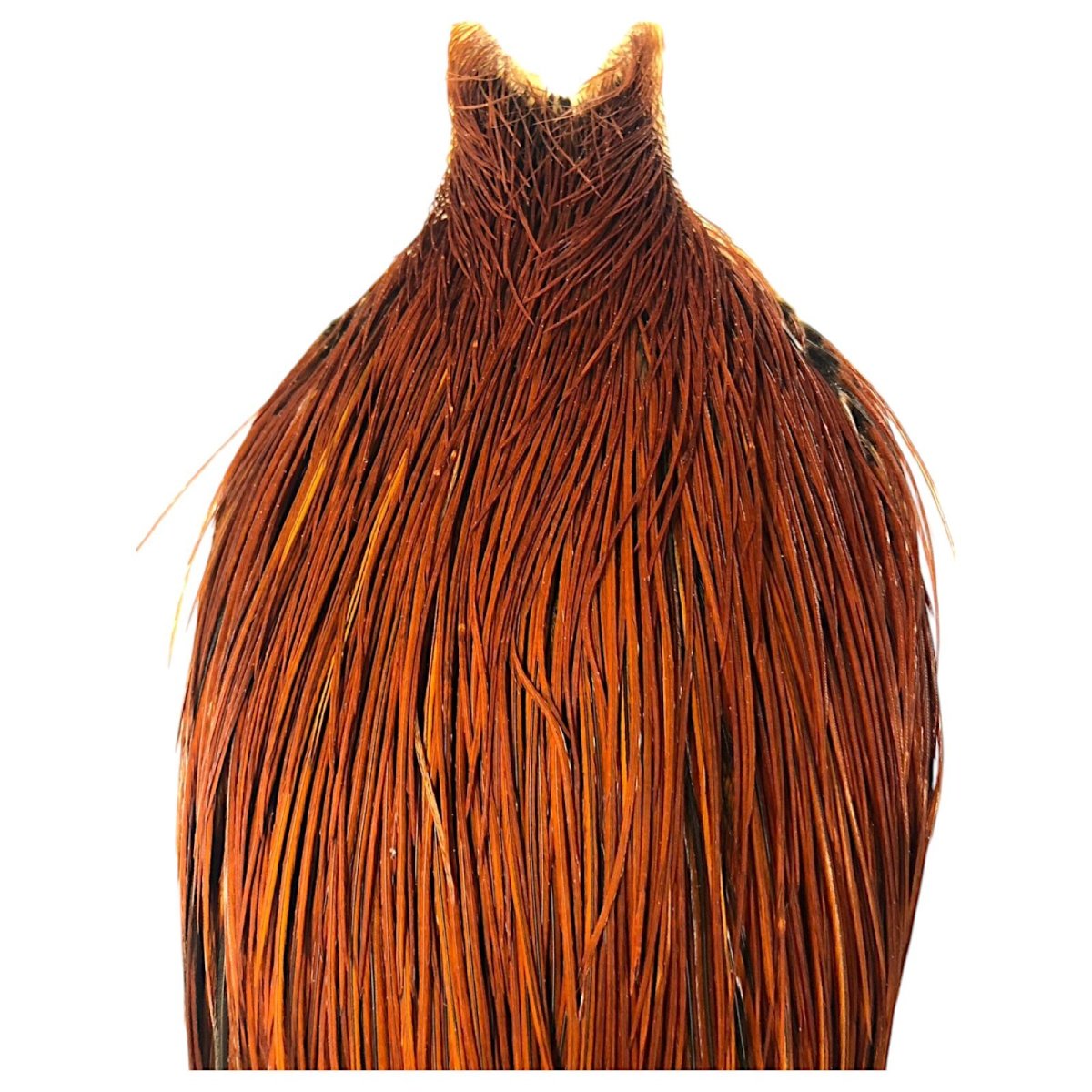 画像2: WHITING Heritage Rooster  Cape ルースターケープ  HERC33 ホワイティング  (2)