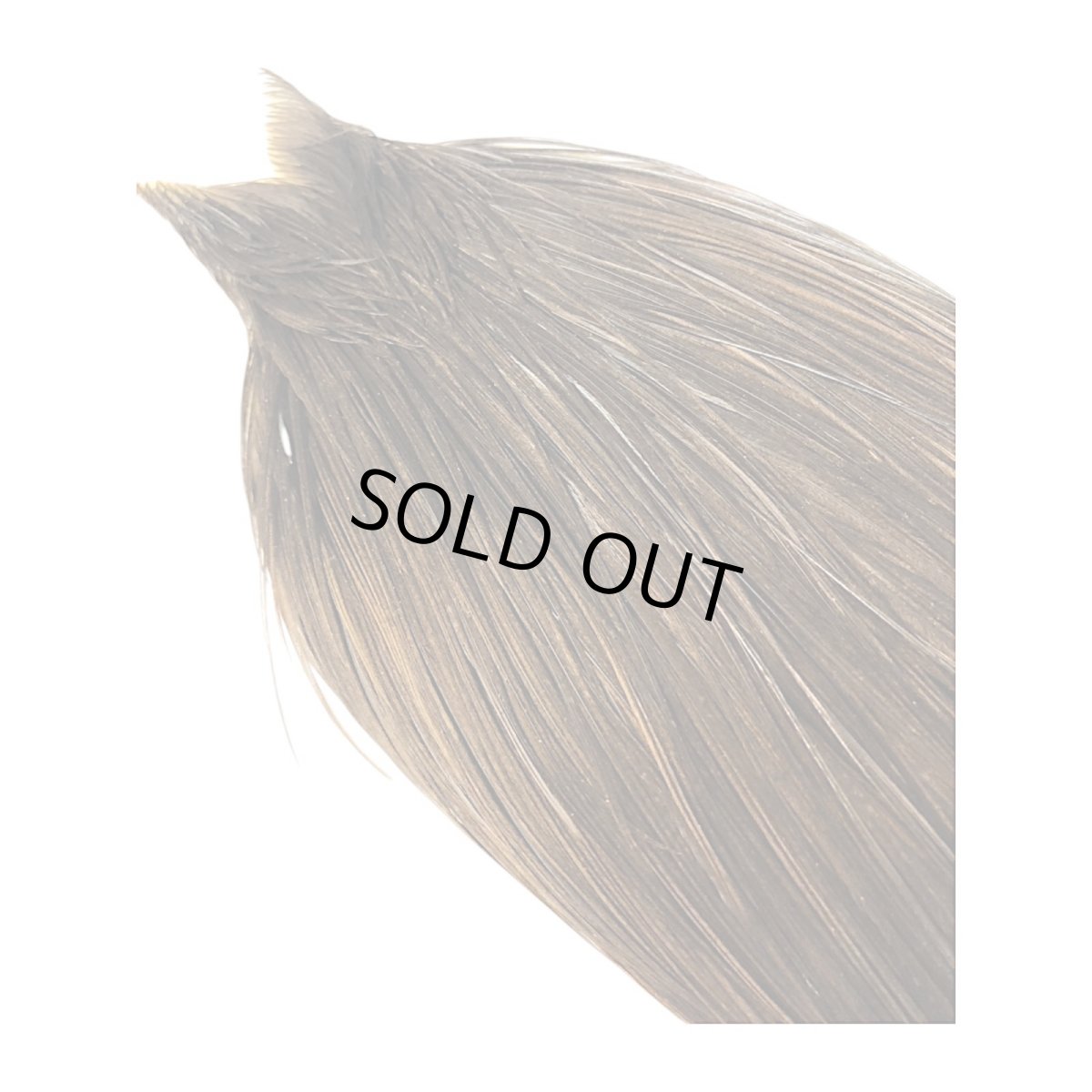 画像4: WHITING Heritage Rooster  Cape ルースターケープ  HERC37 ホワイティング  (4)