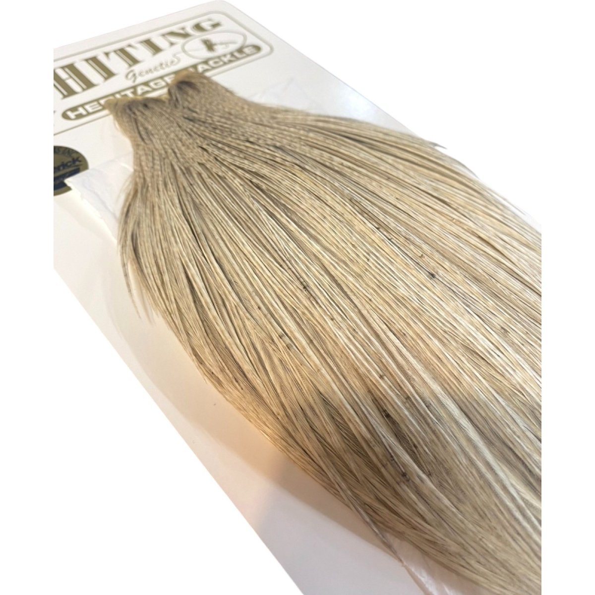 画像5: WHITING Heritage Rooster  Cape ルースターケープ  HERC15 ホワイティング  (5)