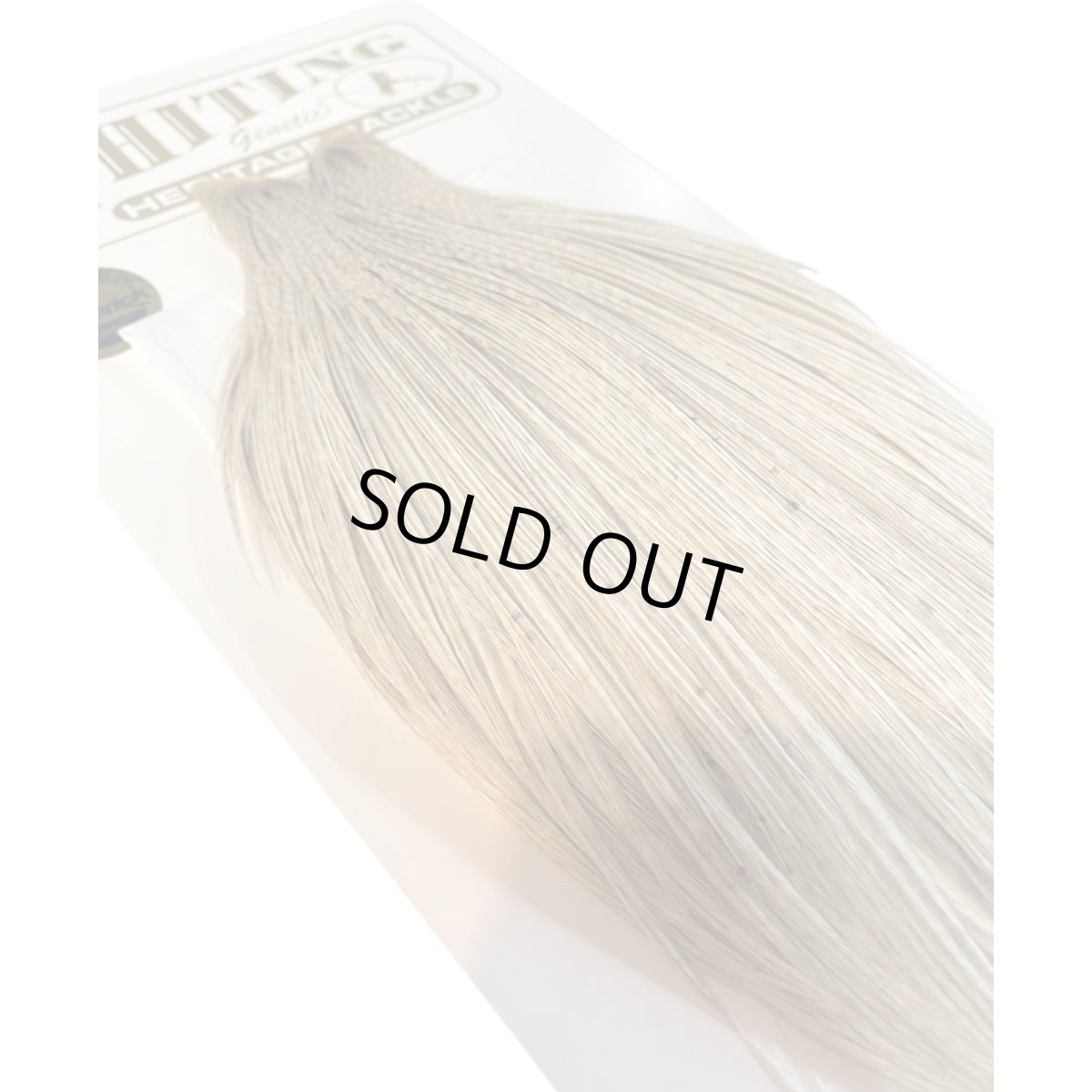 画像5: WHITING　Heritage　Rooster  Cape　ルースターケープ 　HERC15　ホワイティング　 (5)