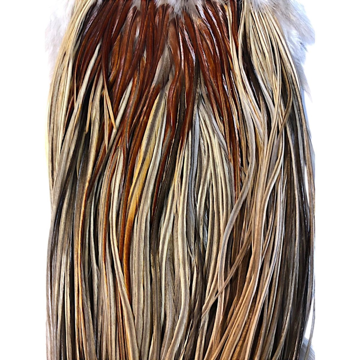 画像2: WHITING Heritage Rooster  Saddle  ルースターサドル Grade #3 HERSD7 ホワイティング  (2)