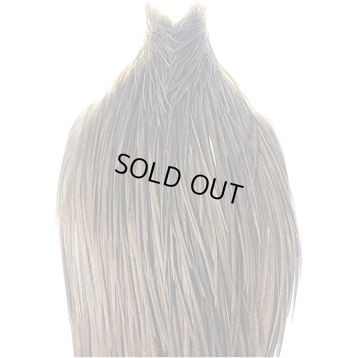 画像2: WHITING　Heritage　Rooster  Cape　ルースターケープ 　HERC26　ホワイティング　 (2)