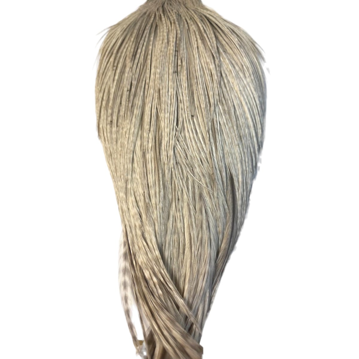 画像3: WHITING Heritage Rooster  Cape ルースターケープ  HERC15 ホワイティング  (3)