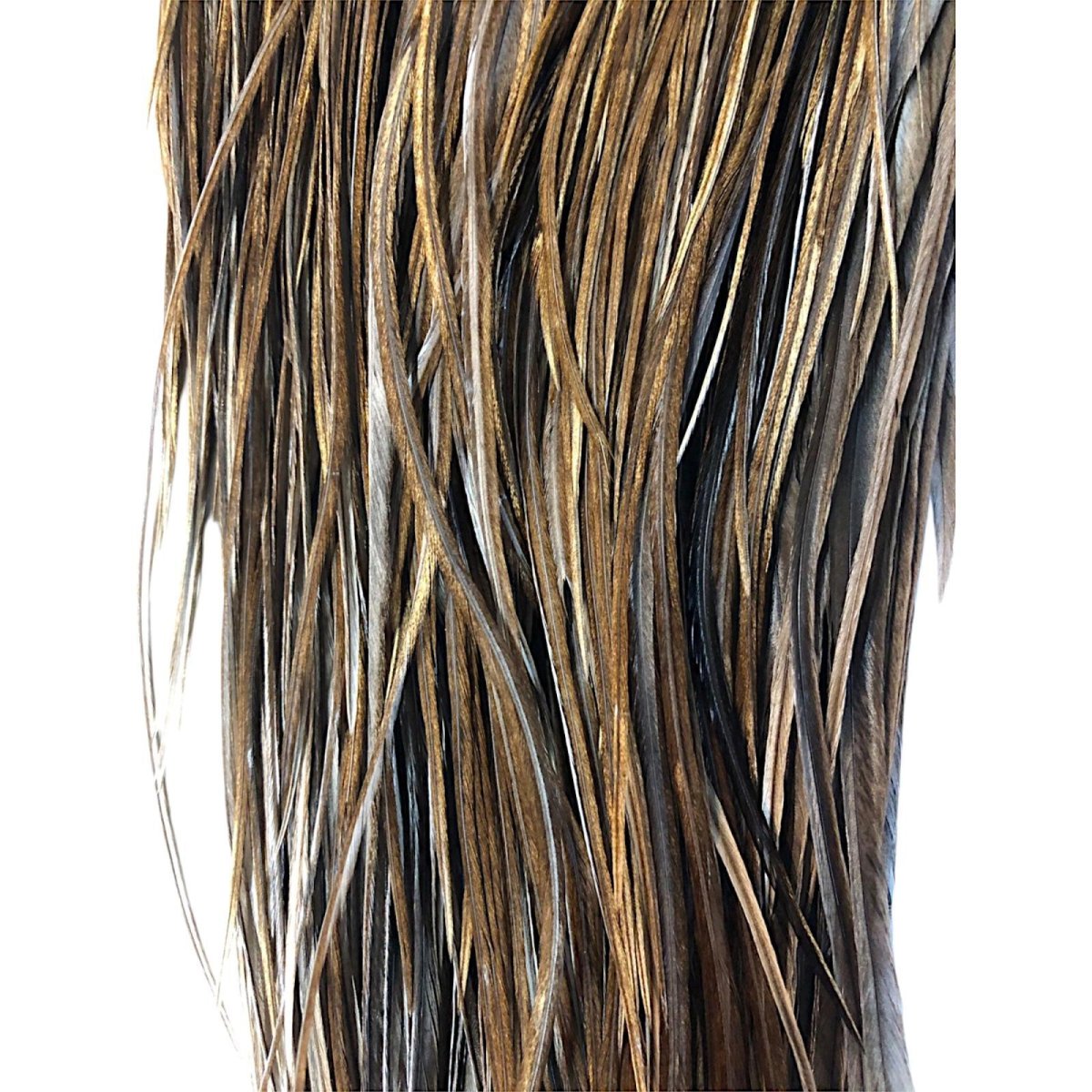 画像3: WHITING　Heritage　Rooster  Saddle 　ルースターサドル　Grade #3　HERSD13　ホワイティング　 (3)