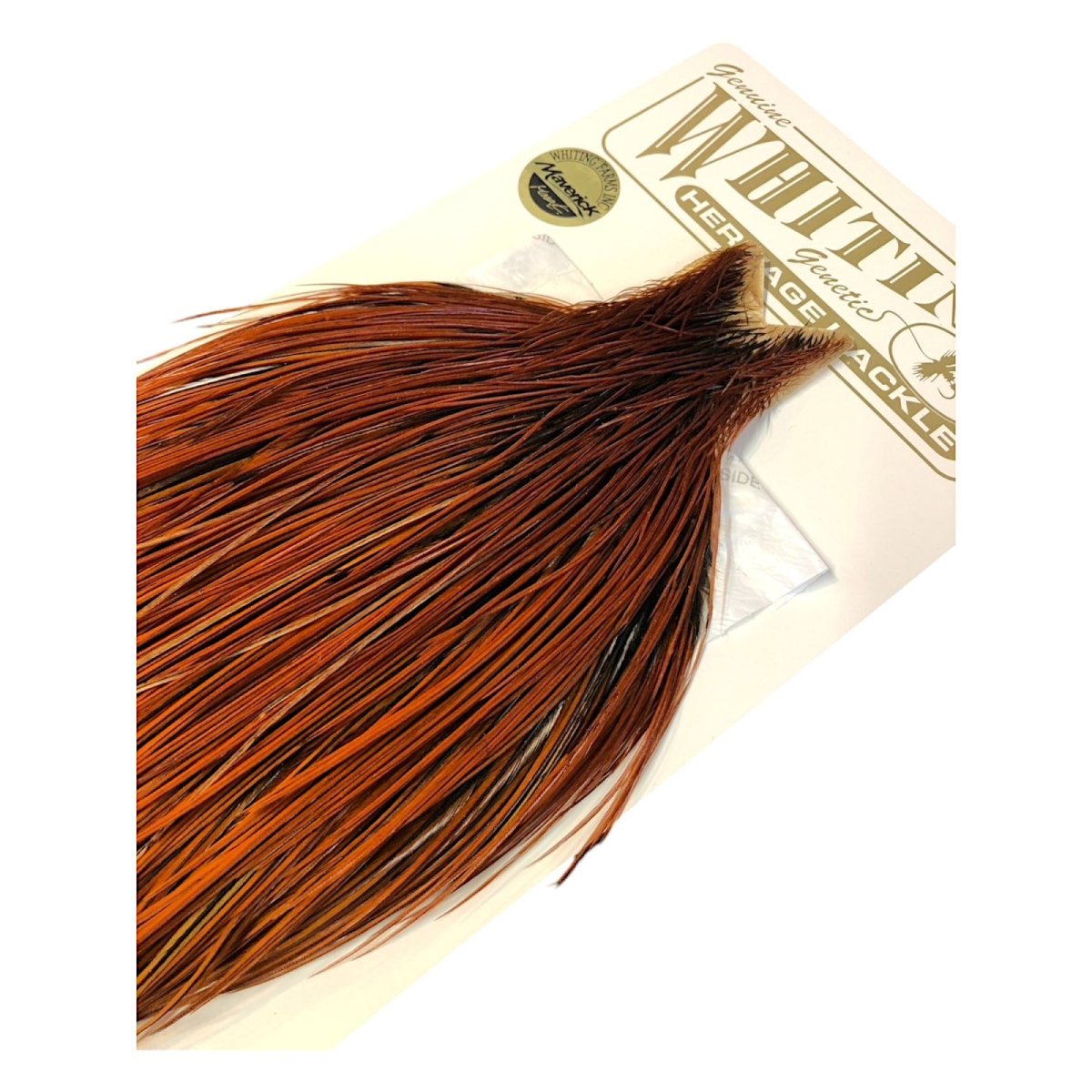 画像5: WHITING Heritage Rooster  Cape ルースターケープ  HERC40 ホワイティング  (5)