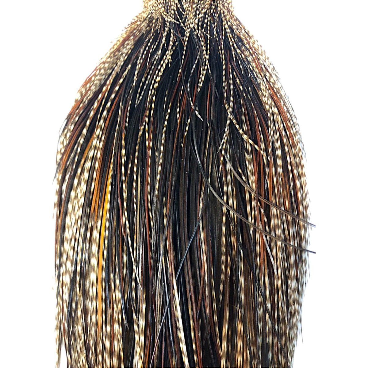 画像2: WHITING Heritage Rooster  Cape ルースターケープ  HERC34 ホワイティング  (2)