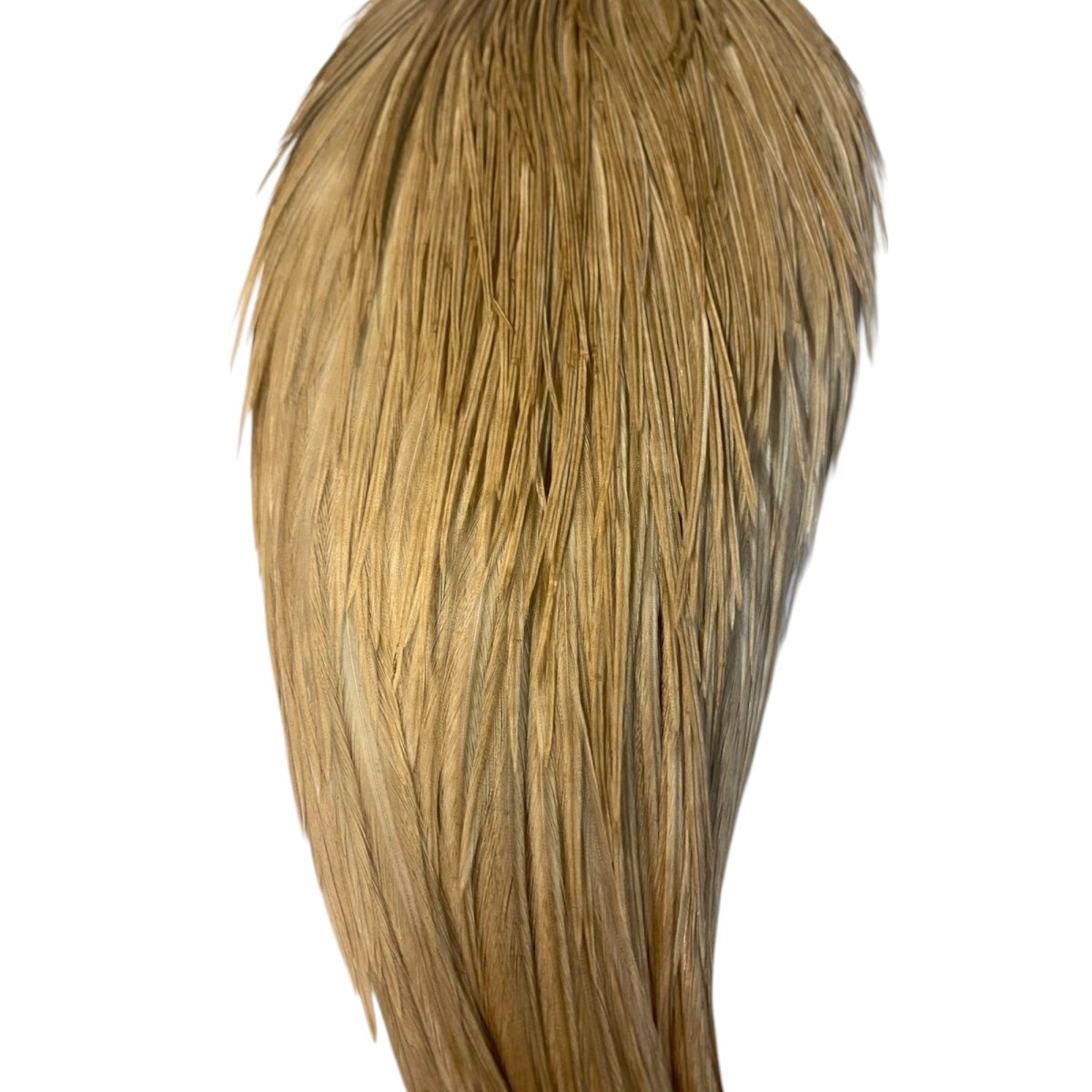 画像3: WHITING Heritage Rooster  Cape ルースターケープ  HERC12 ホワイティング  (3)