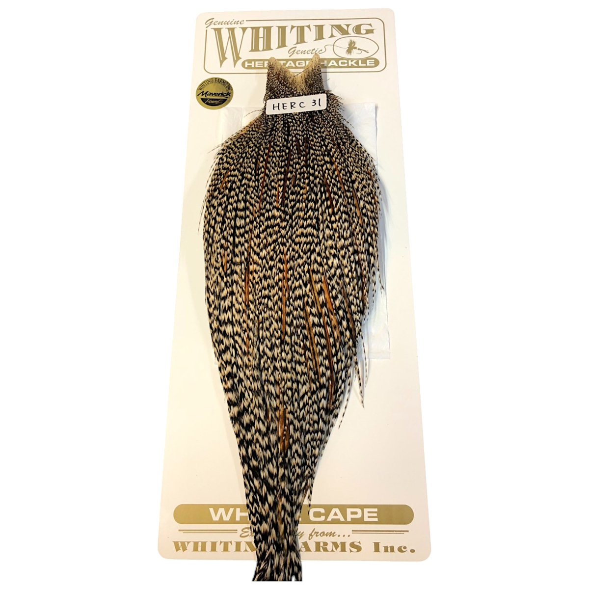 画像1: WHITING　Heritage　Rooster  Cape　ルースターケープ 　HERC31　ホワイティング　 (1)
