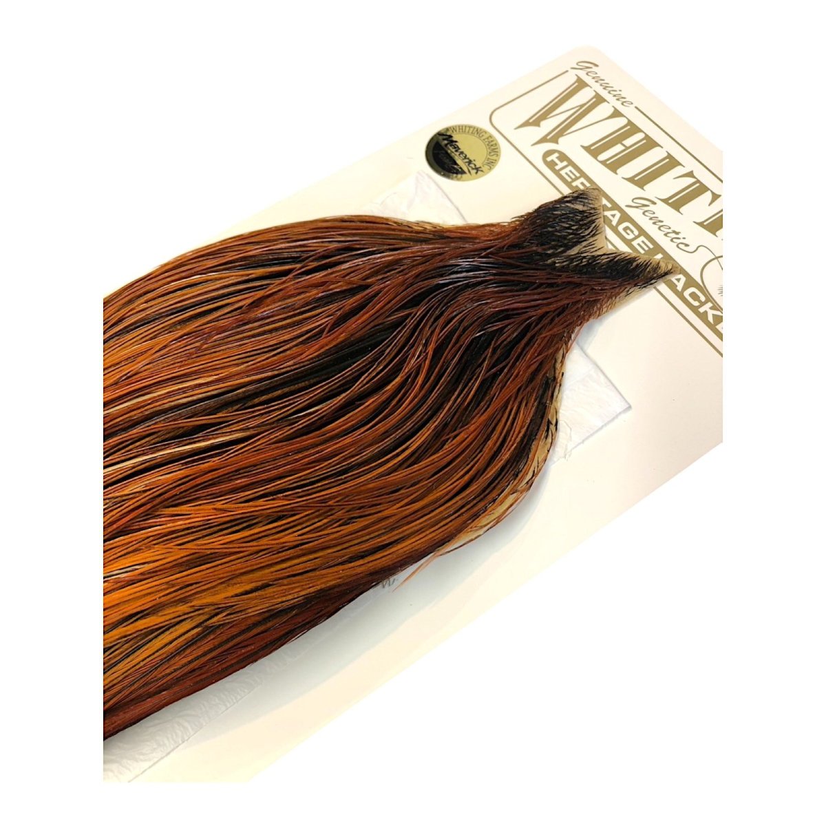 画像5: WHITING Heritage Rooster  Cape ルースターケープ  HERC30 ホワイティング  (5)