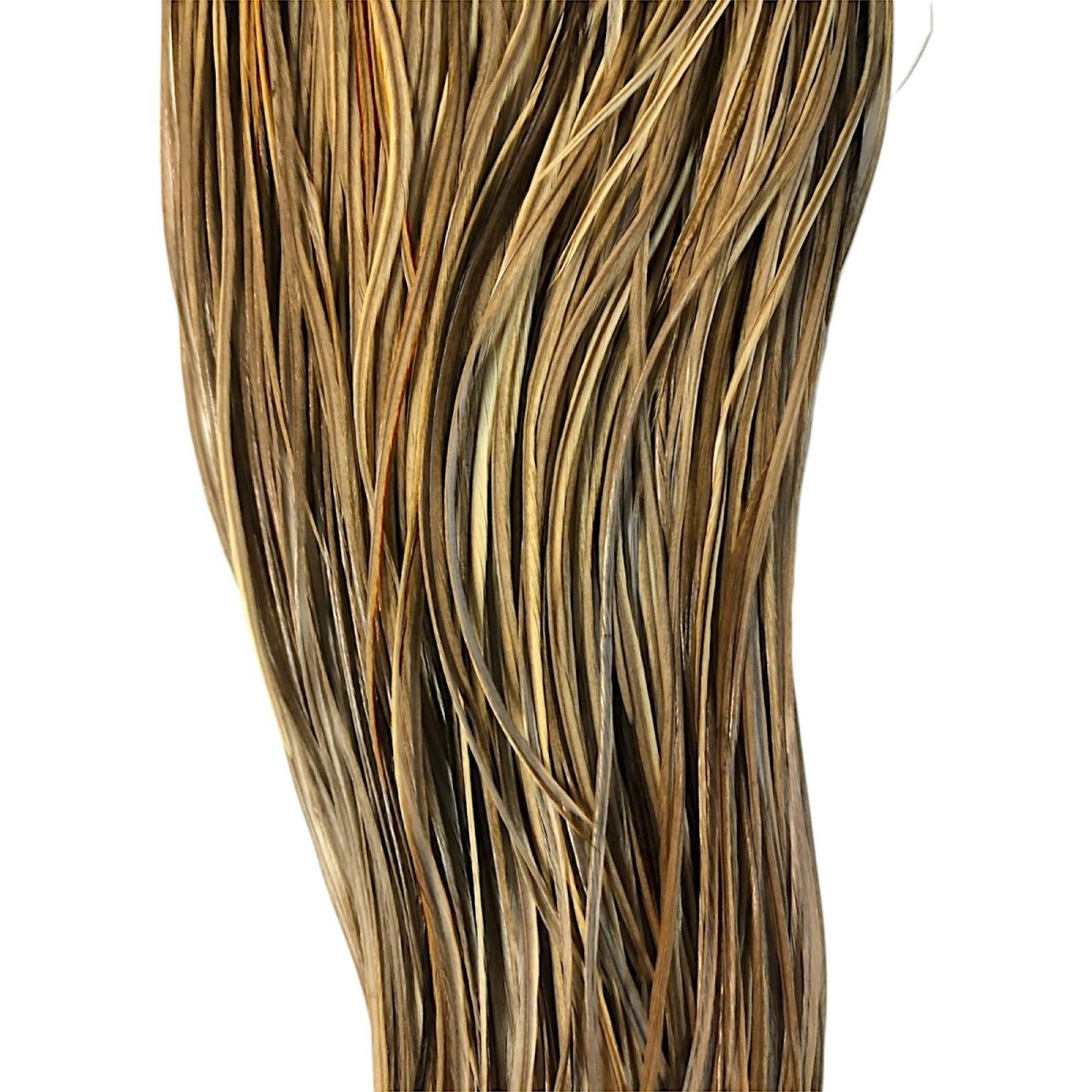 画像3: WHITING Heritage Rooster  Saddle  ルースターサドル Grade #3 HERSD7 ホワイティング  (3)