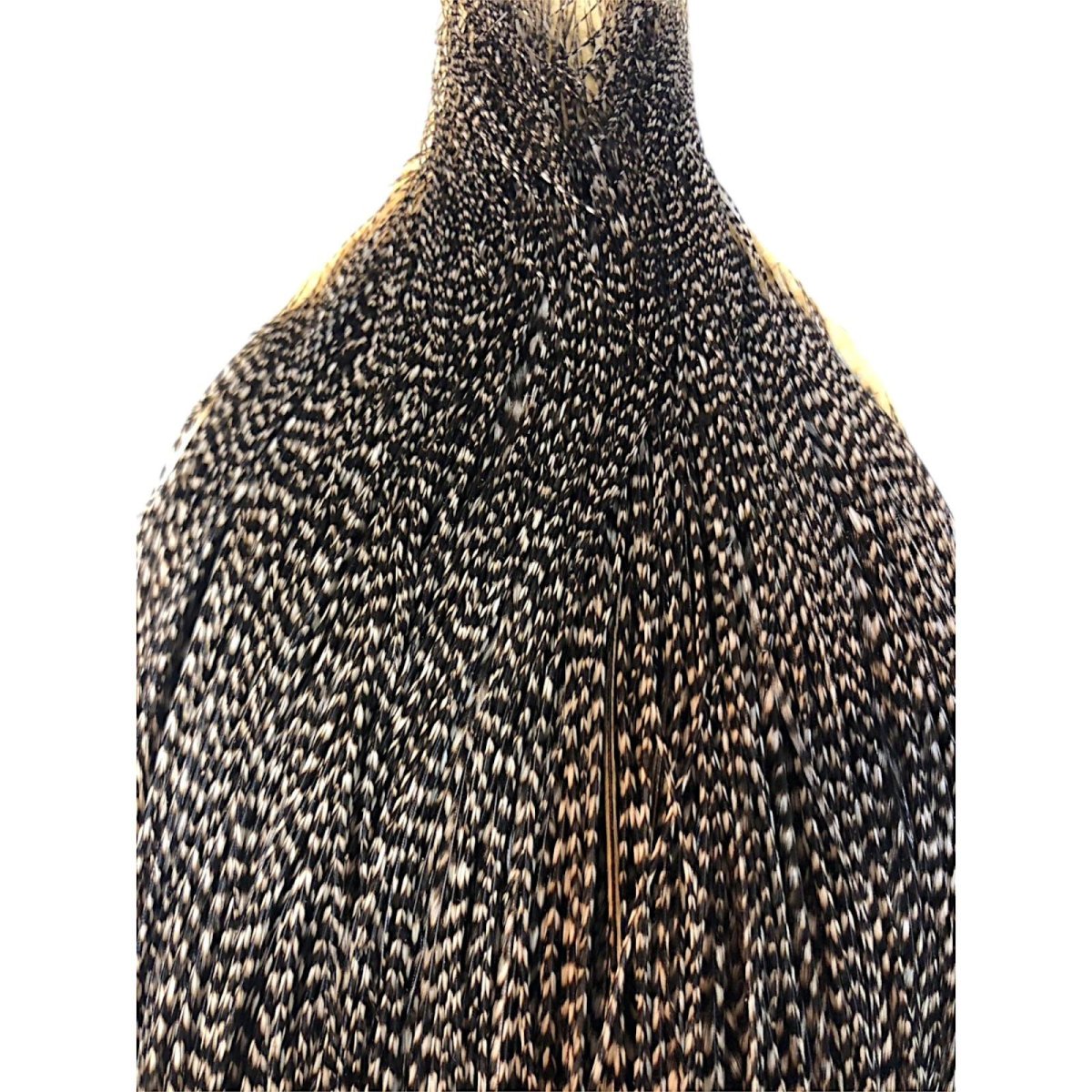 画像2: WHITING Heritage Rooster  Cape ルースターケープ  HERC24 ホワイティング  (2)