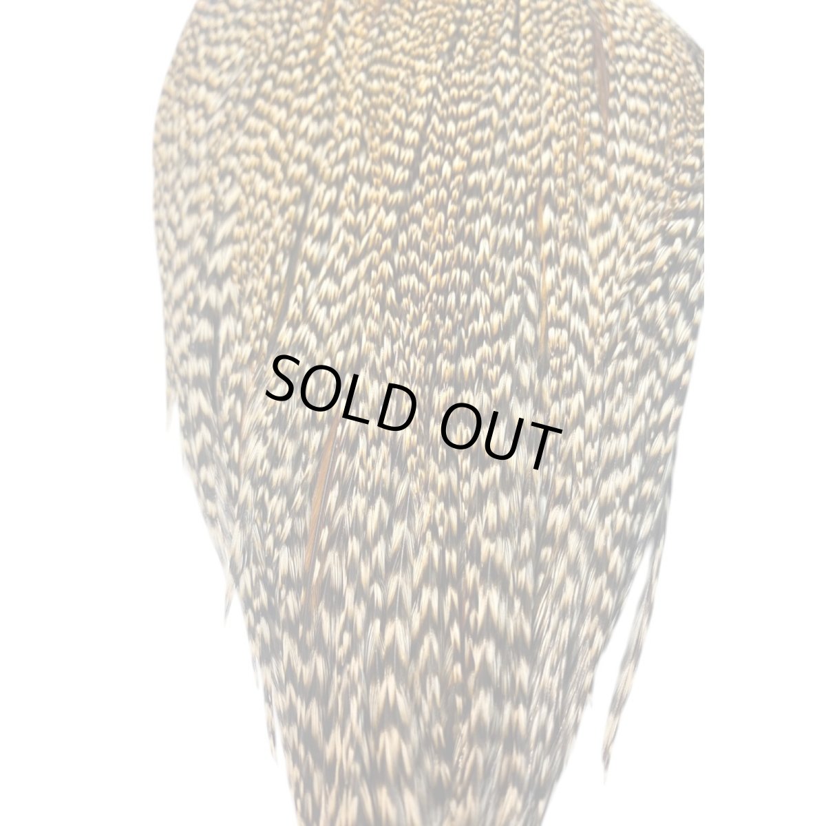 画像3: WHITING Heritage Rooster  Cape ルースターケープ Pro Grade  HERC6 ホワイティング  (3)