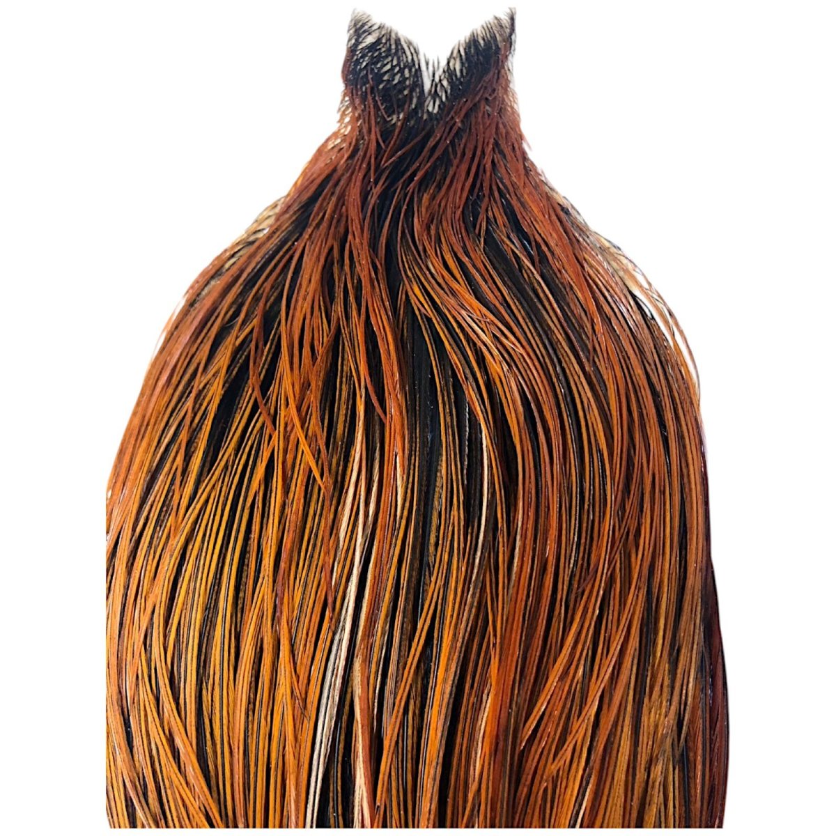 画像2: WHITING Heritage Rooster  Cape ルースターケープ  HERC30 ホワイティング  (2)