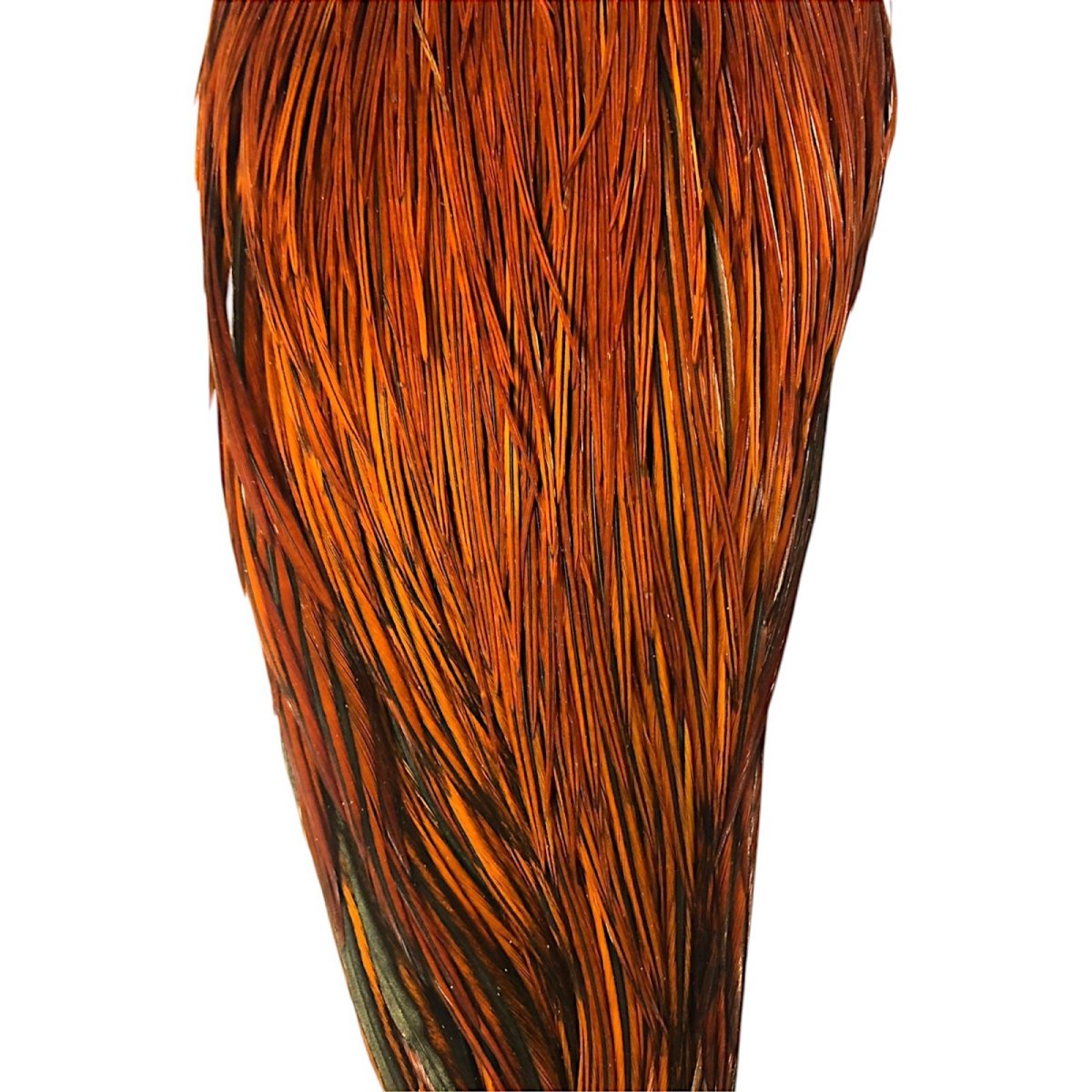 画像3: WHITING Heritage Rooster  Cape ルースターケープ  HERC33 ホワイティング  (3)