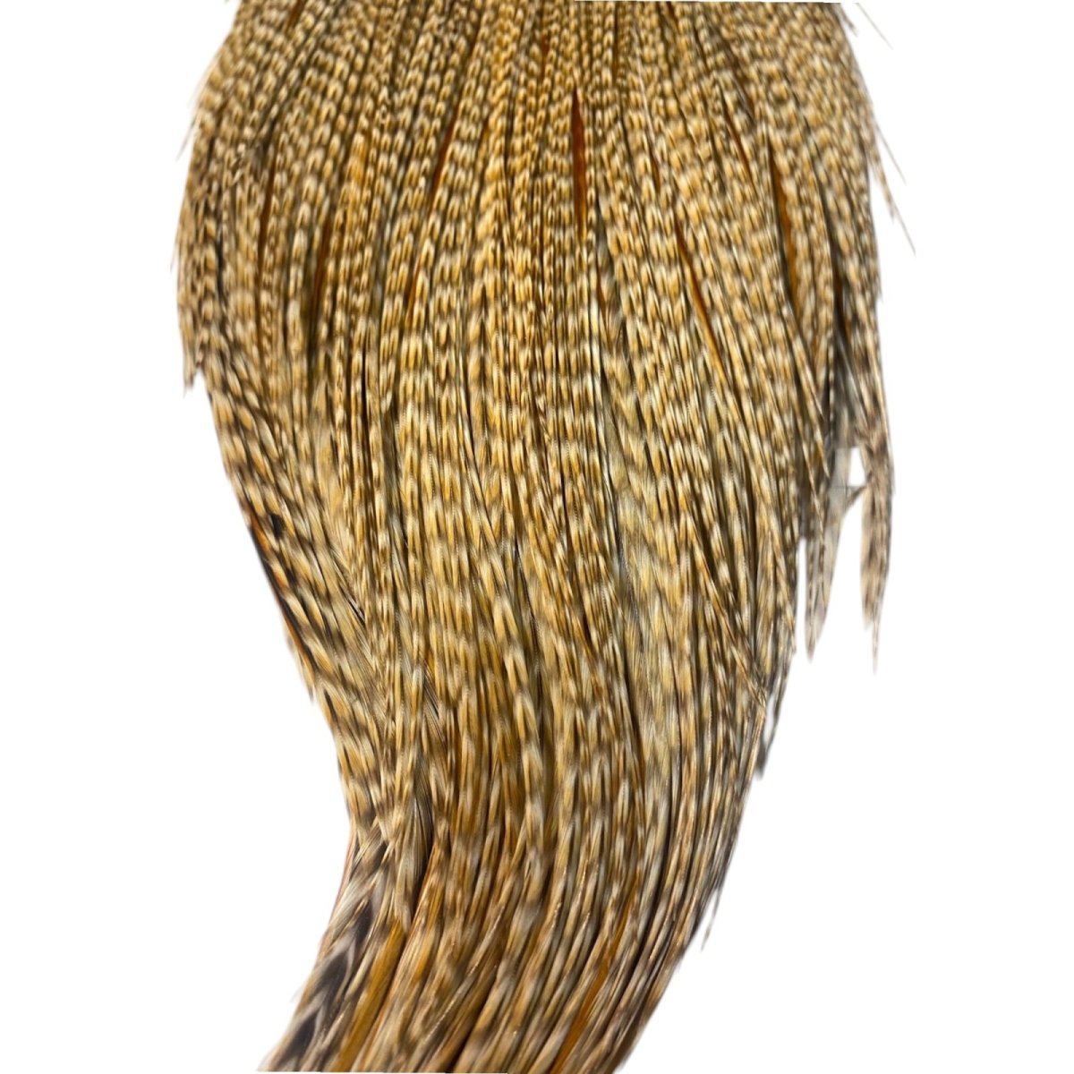 画像3: WHITING Heritage Rooster  Cape ルースターケープ  HERC19 ホワイティング  (3)