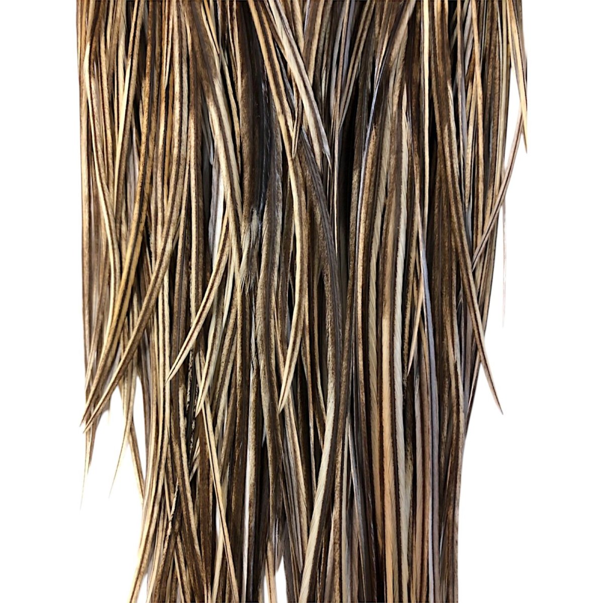 画像3: WHITING Heritage Rooster  Saddle  ルースターサドル Grade #3 HERSD22 ホワイティング  (3)