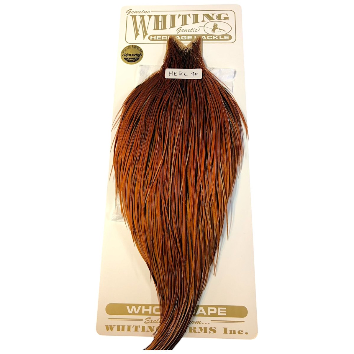 画像1: WHITING　Heritage　Rooster  Cape　ルースターケープ 　HERC40　ホワイティング　 (1)
