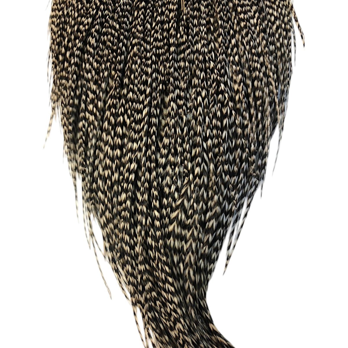 画像3: WHITING Heritage Rooster  Cape ルースターケープ  HERC24 ホワイティング  (3)