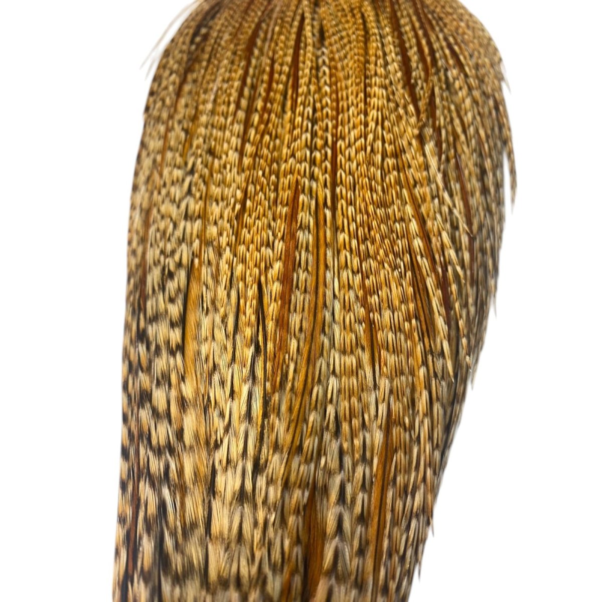 画像3: WHITING Heritage Rooster  Cape ルースターケープ  HERC11 ホワイティング  (3)