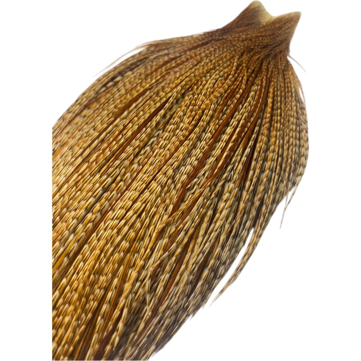 画像4: WHITING Heritage Rooster  Cape ルースターケープ  HERC11 ホワイティング  (4)