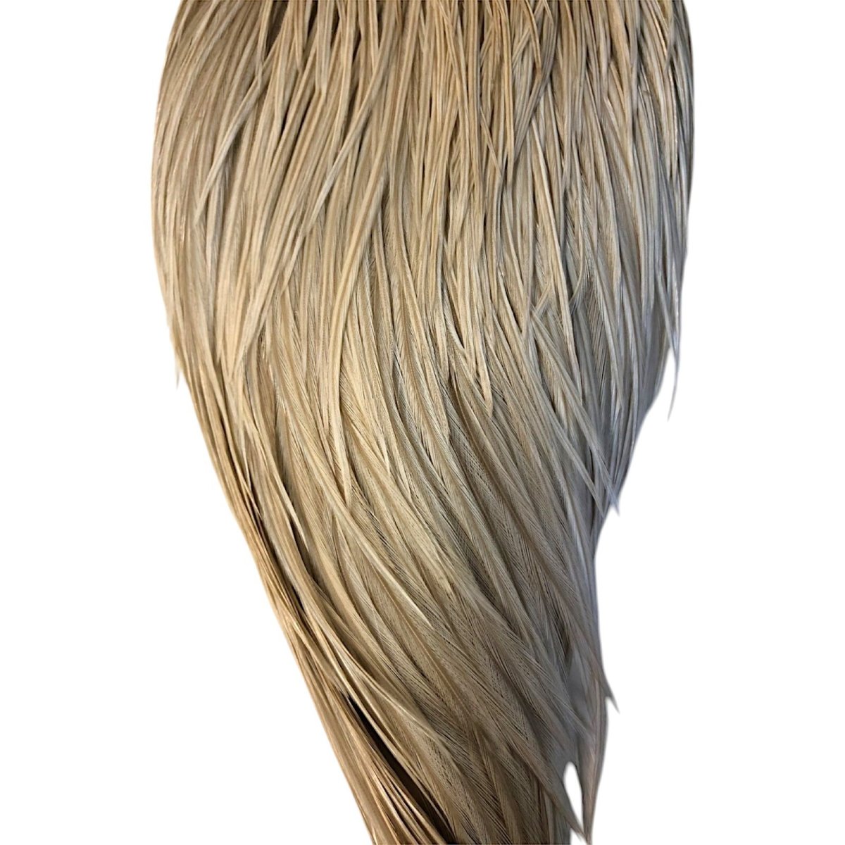 画像3: WHITING Heritage Rooster  Cape ルースターケープ  HERC22 ホワイティング  (3)