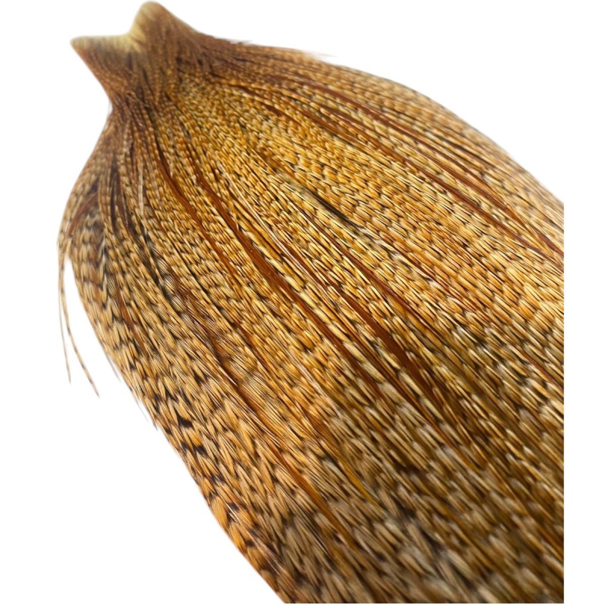 画像5: WHITING Heritage Rooster  Cape ルースターケープ  HERC11 ホワイティング  (5)