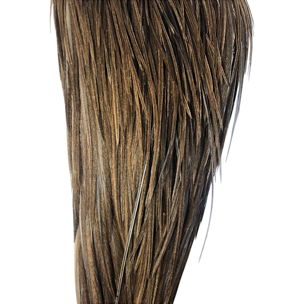 画像3: WHITING Heritage Rooster  Cape ルースターケープ  HERC26 ホワイティング  (3)