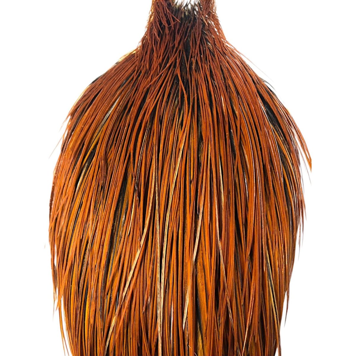 画像2: WHITING Heritage Rooster  Cape ルースターケープ  HERC40 ホワイティング  (2)