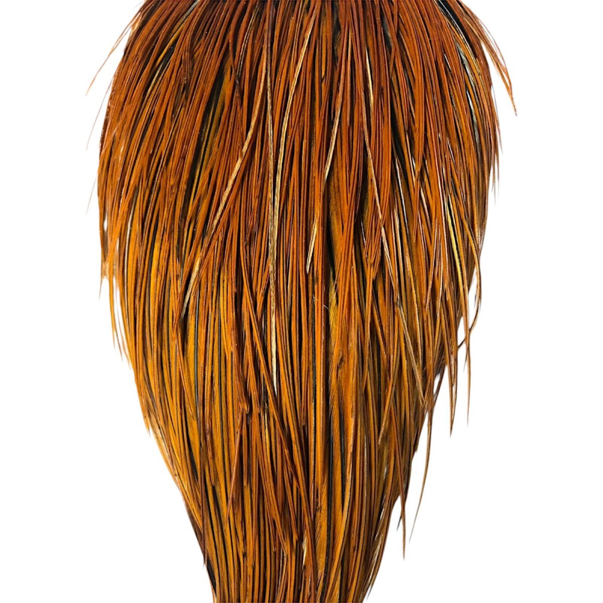 画像3: WHITING Heritage Rooster  Cape ルースターケープ  HERC40 ホワイティング  (3)