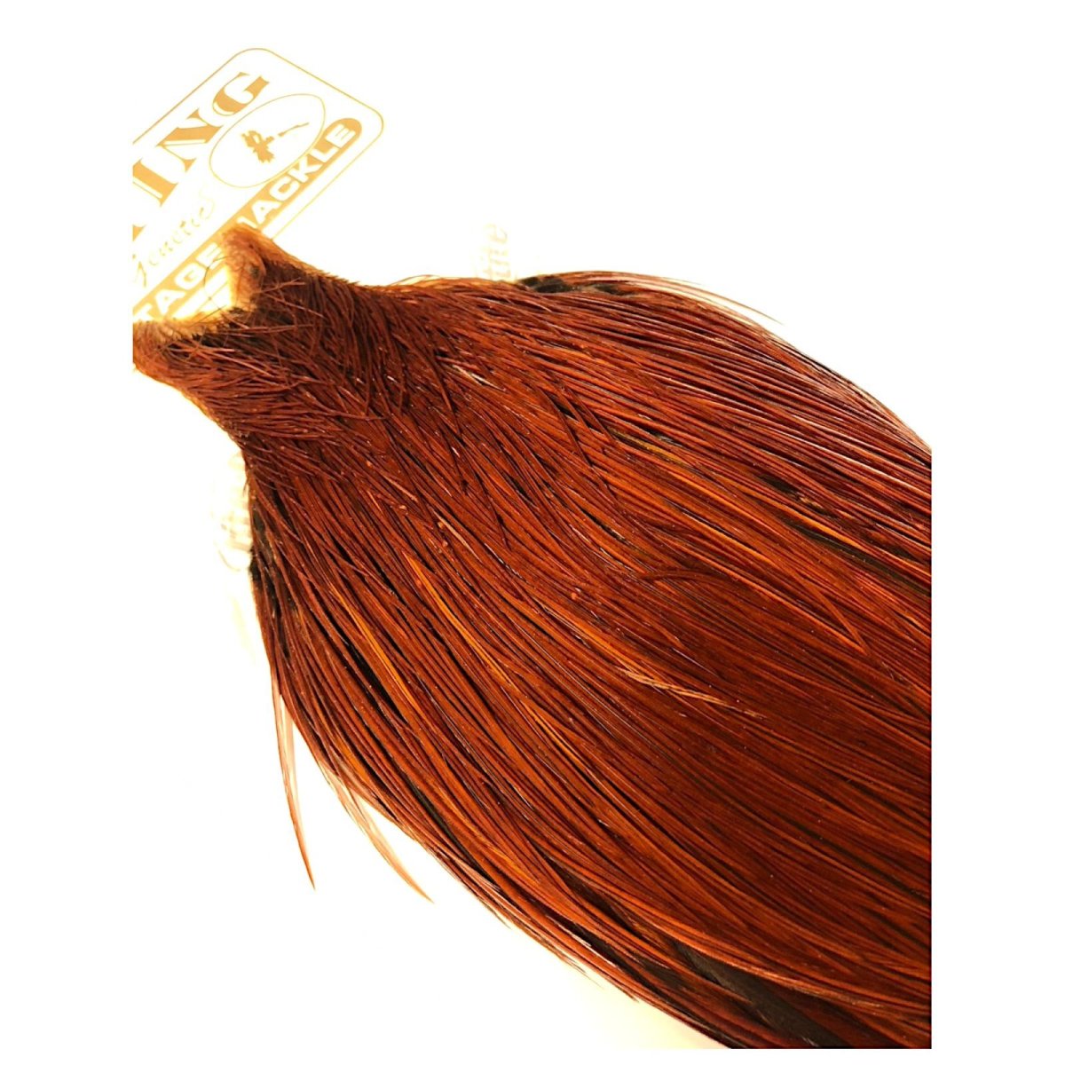 画像4: WHITING Heritage Rooster  Cape ルースターケープ  HERC33 ホワイティング  (4)