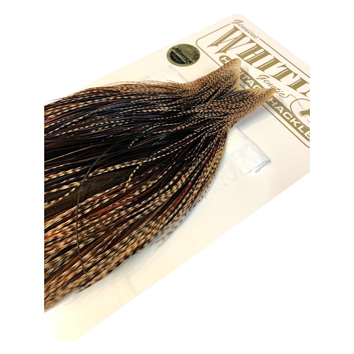 画像5: WHITING Heritage Rooster  Cape ルースターケープ  HERC34 ホワイティング  (5)