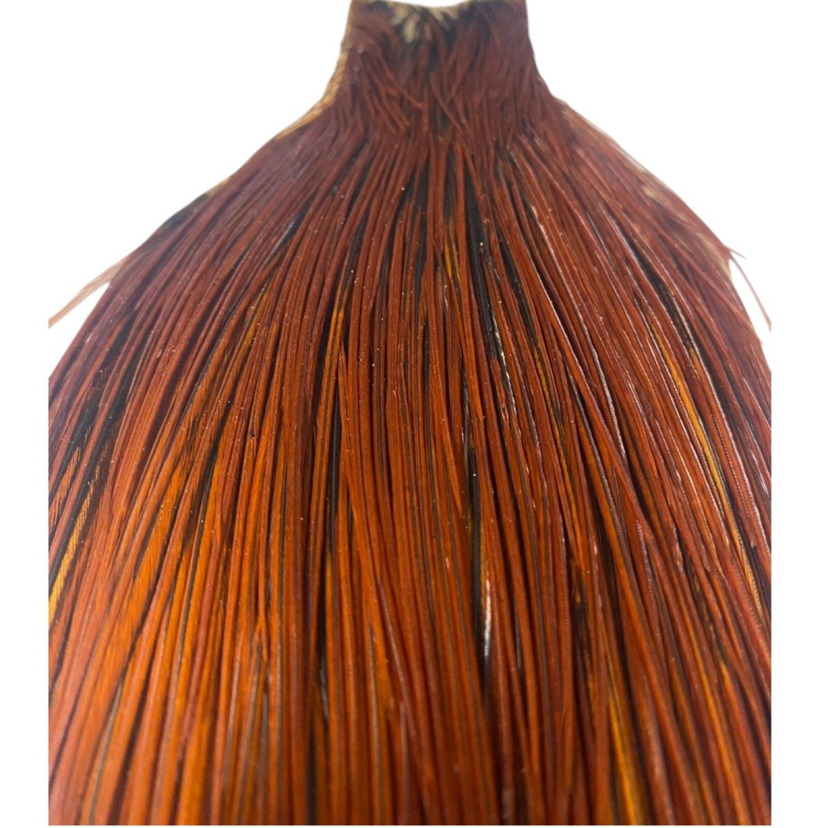 画像2: WHITING Heritage Rooster  Cape ルースターケープ Pro Grade  HERC9 ホワイティング  (2)