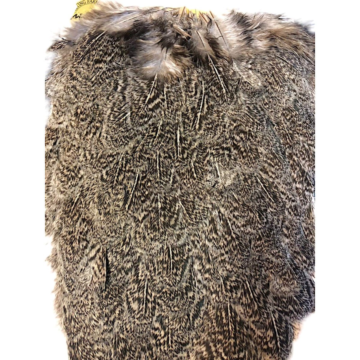 画像2: WHITING Coq de Leon Hen Saddle ヘンサドル ブラウンスペックルド HS17 ホワイティング  (2)