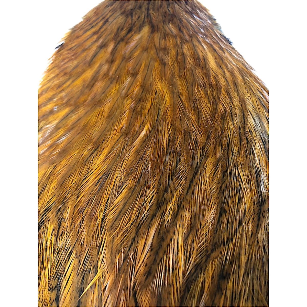 画像2: WHITING Coq de Leon Hen Cape ヘンケープ ジンジャースペックルド  HC5 ホワイティング  (2)