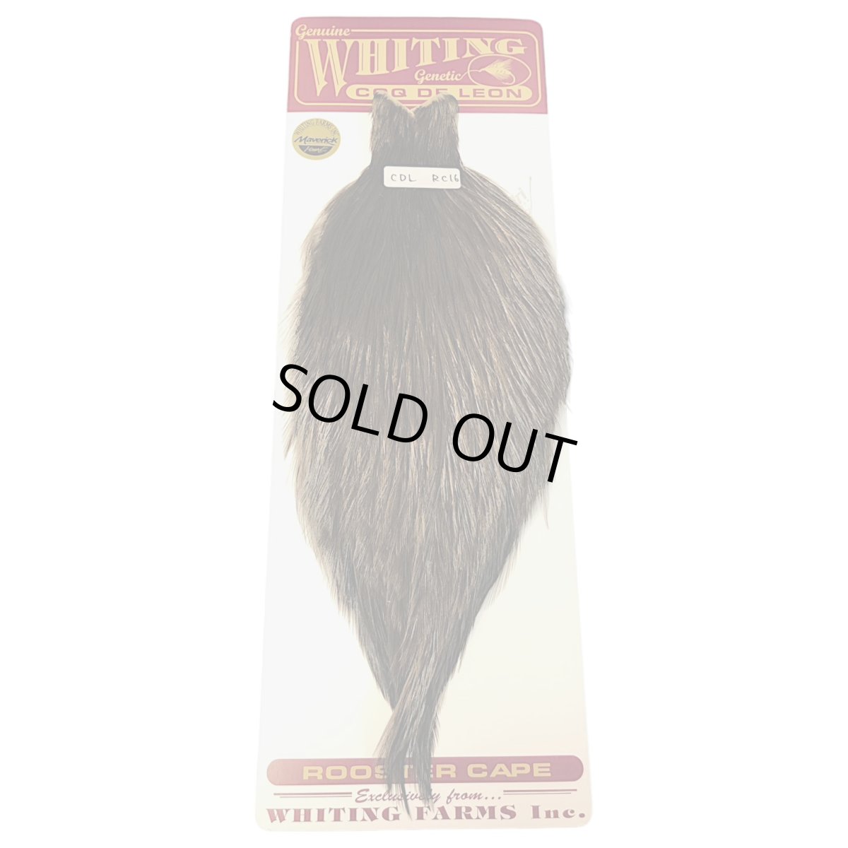 画像1: WHITING　Coq de Leon　Rooster Cape　ルースターケープ　ブラック　RC16　ホワイティング　 (1)