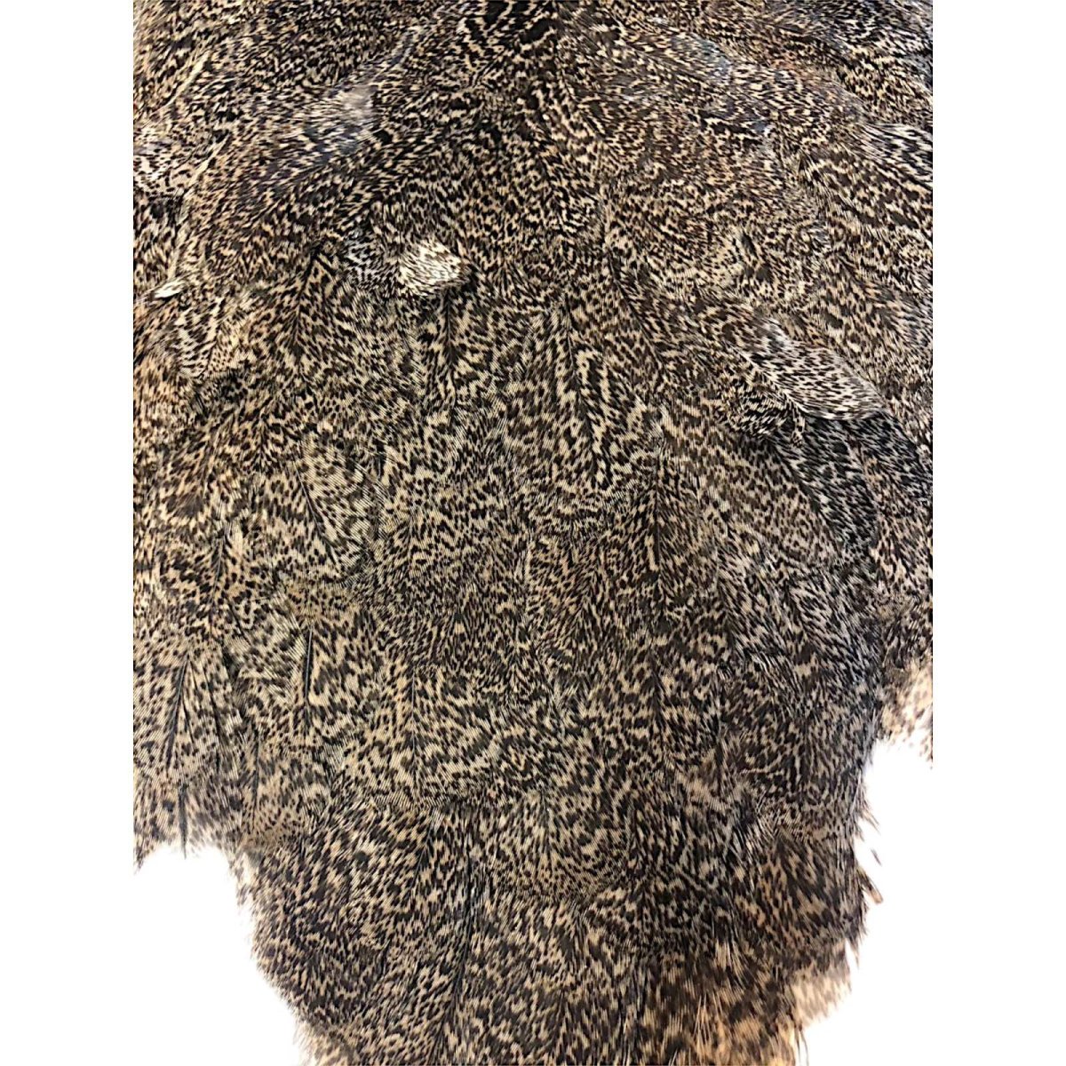 画像3: WHITING　Coq de Leon　Hen Saddle　ヘンサドル　ブラウンスペックルド　HS15　ホワイティング　 (3)