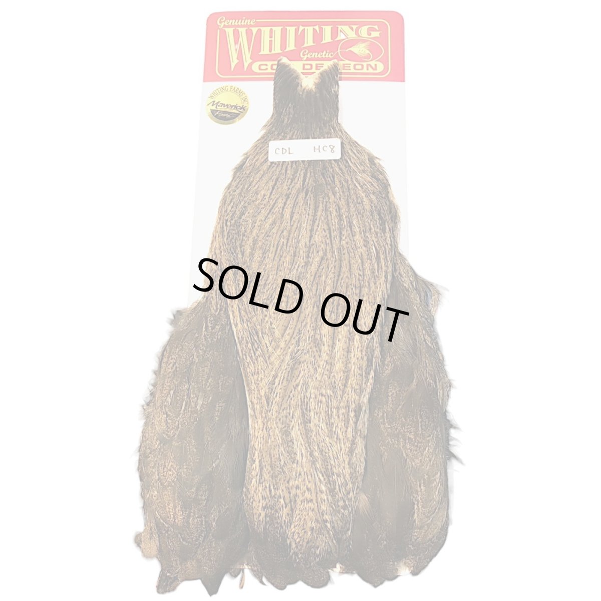 画像1: WHITING Coq de Leon Hen Cape ヘンケープ ゴールデンバジャー  HC8 ホワイティング  (1)