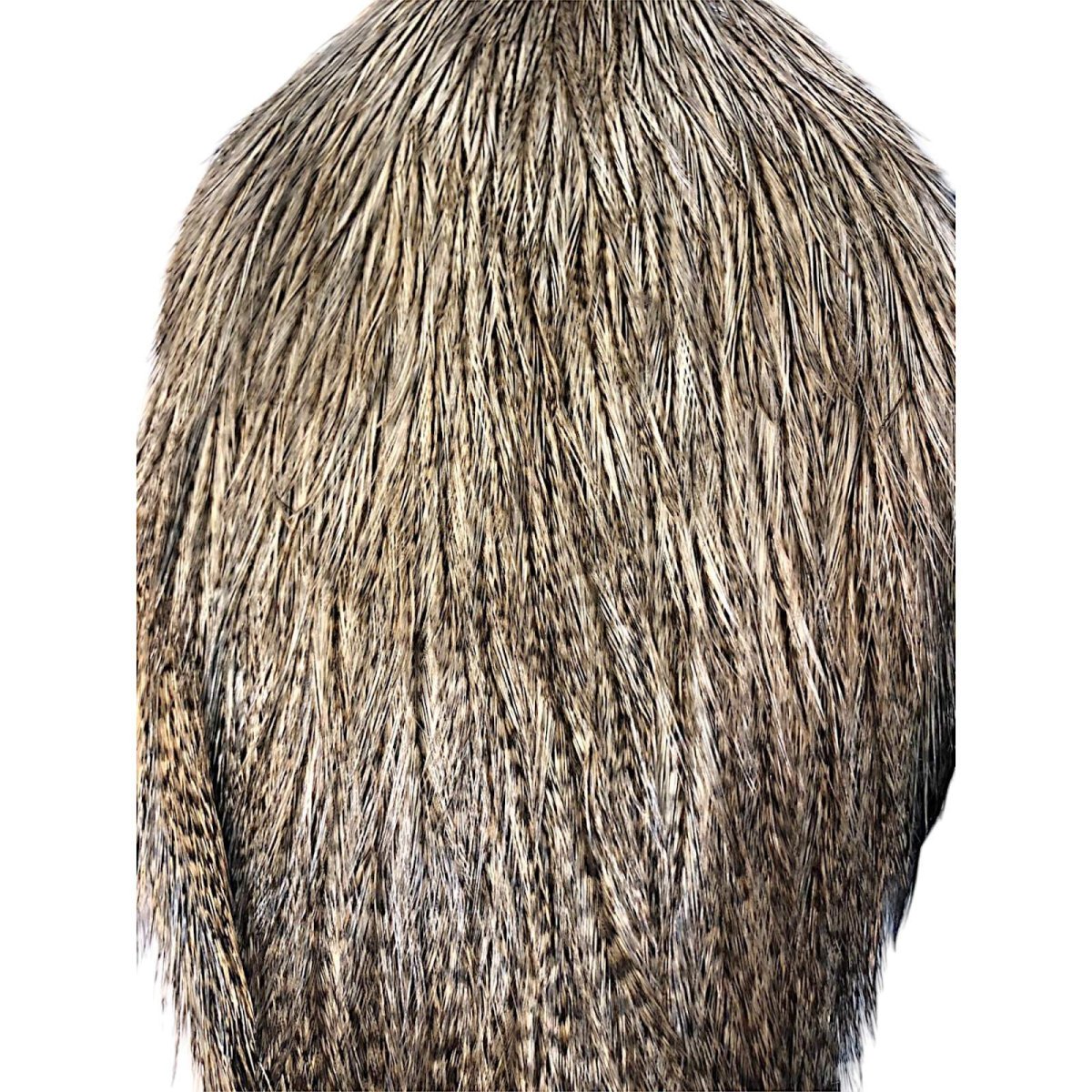 画像2: WHITING Coq de Leon Rooster Cape ルースターケープ ライトパルド RC11 ホワイティング  (2)