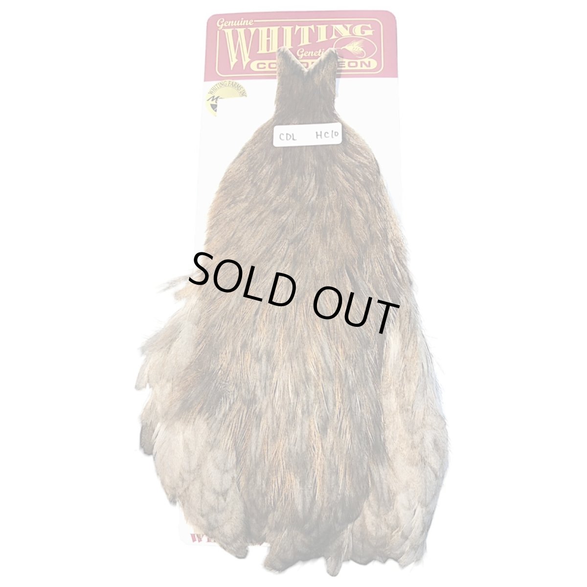 画像1: WHITING Coq de Leon Hen Cape ヘンケープ ユニークバリアント HC10 ホワイティング  (1)