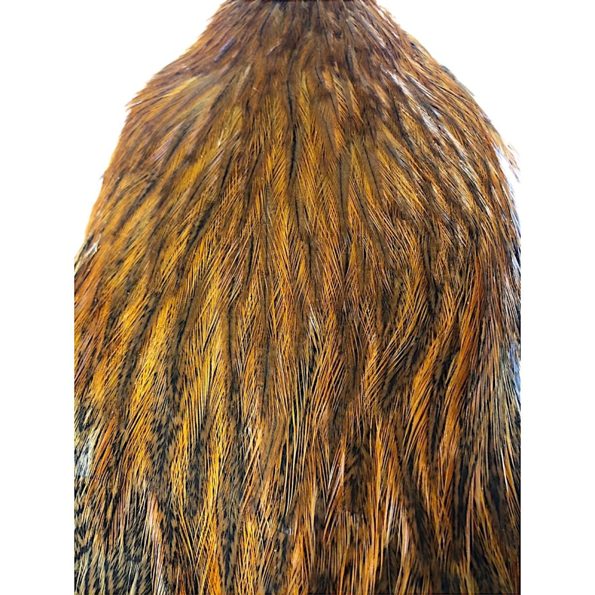 画像2: WHITING Coq de Leon Hen Cape ヘンケープ ジンジャースペックルド  HC4 ホワイティング  (2)