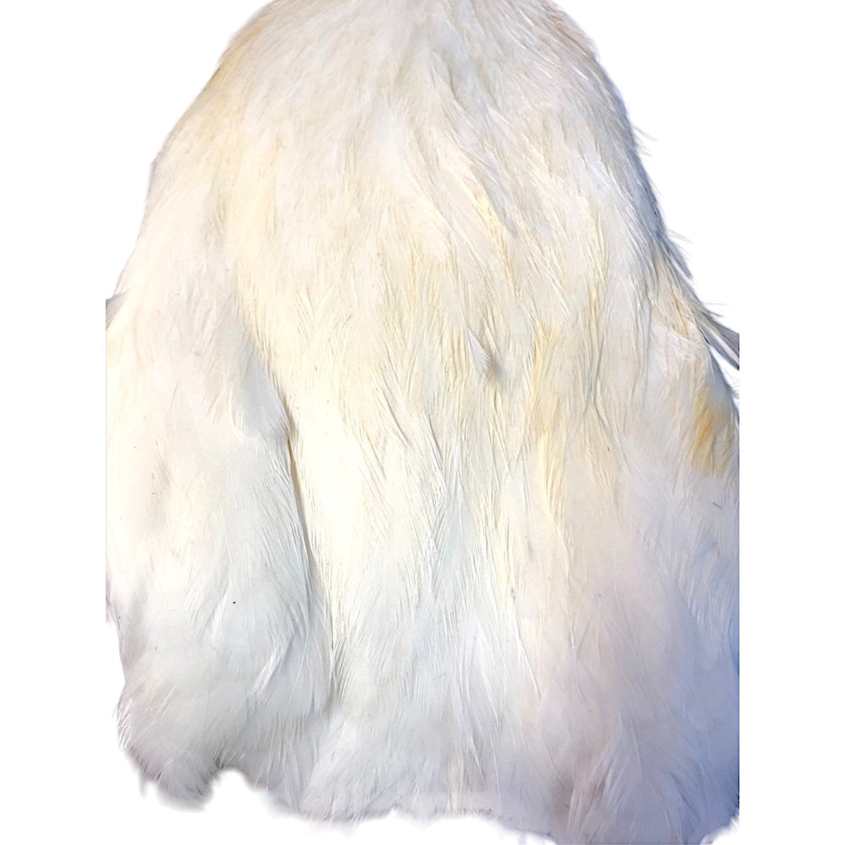 画像3: WHITING Coq de Leon Hen Cape ヘンケープ ホワイト  HC1 ホワイティング  (3)