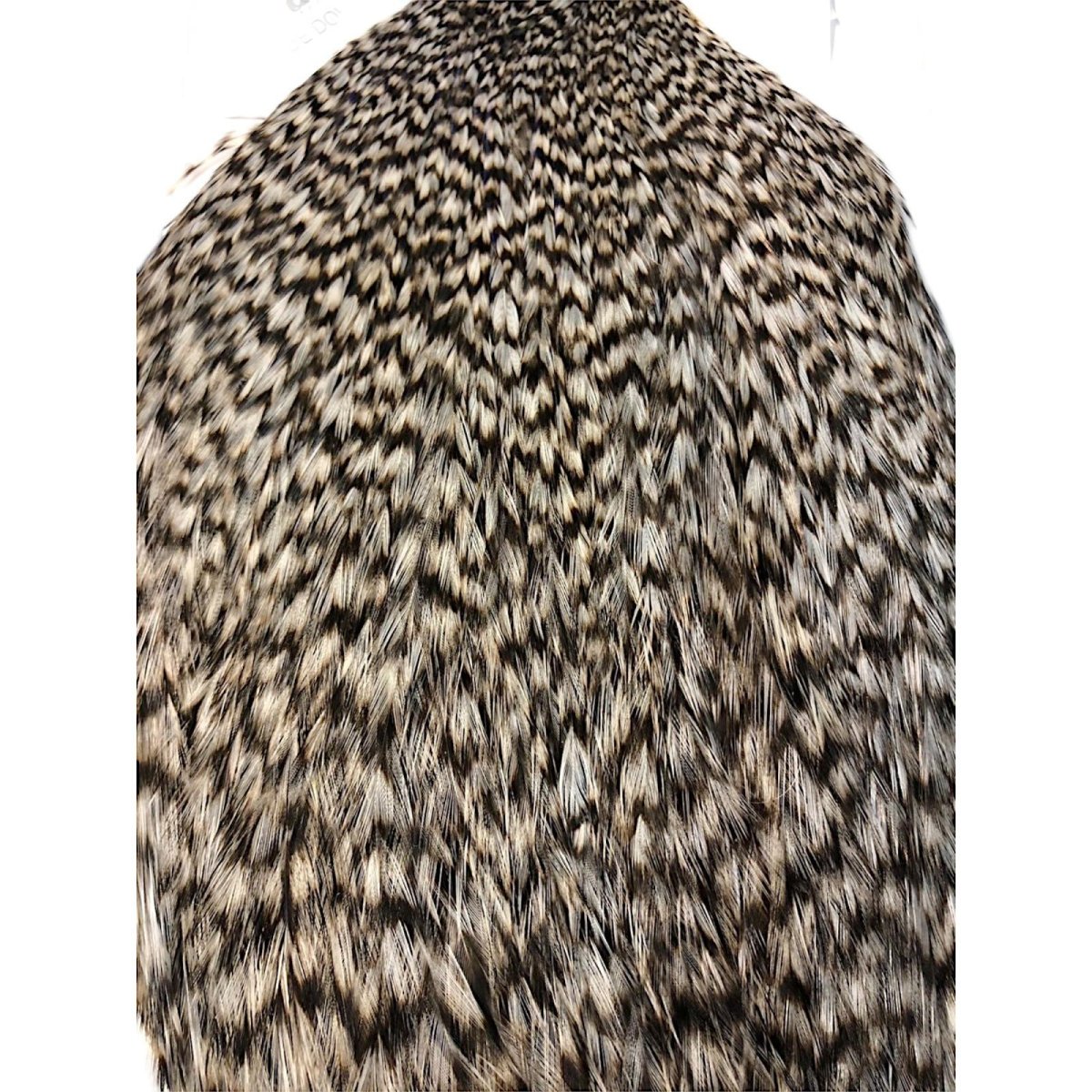 画像2: WHITING Coq de Leon Rooster Cape ルースターケープ グリズリー RC1 ホワイティング  (2)