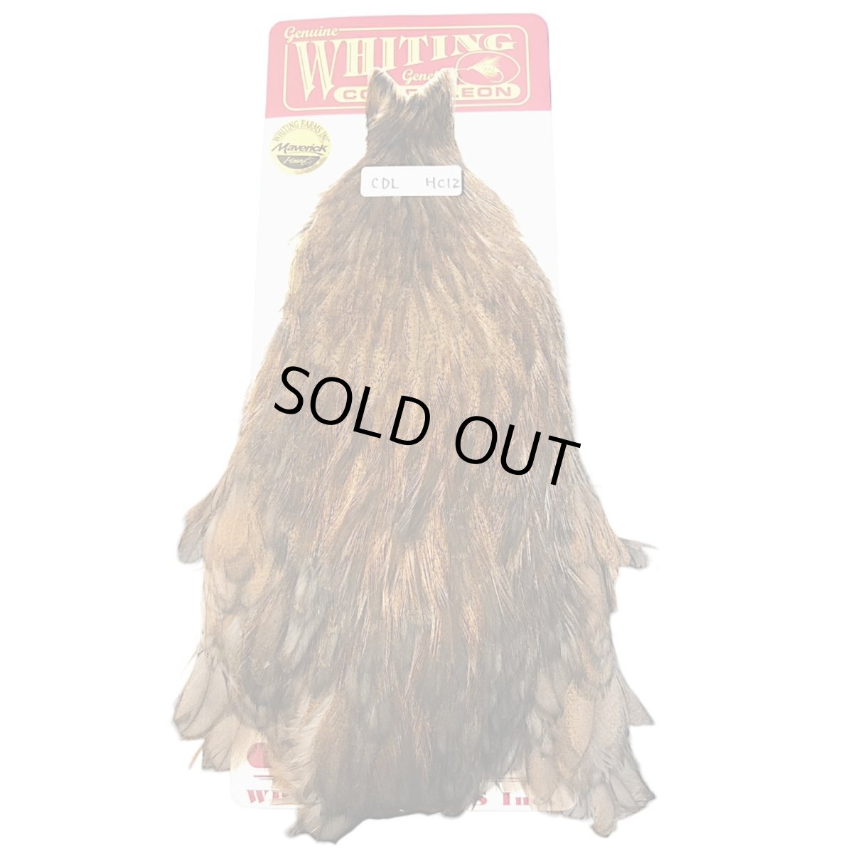 画像1: WHITING Coq de Leon Hen Cape ヘンケープ ユニークバリアント HC12 ホワイティング  (1)