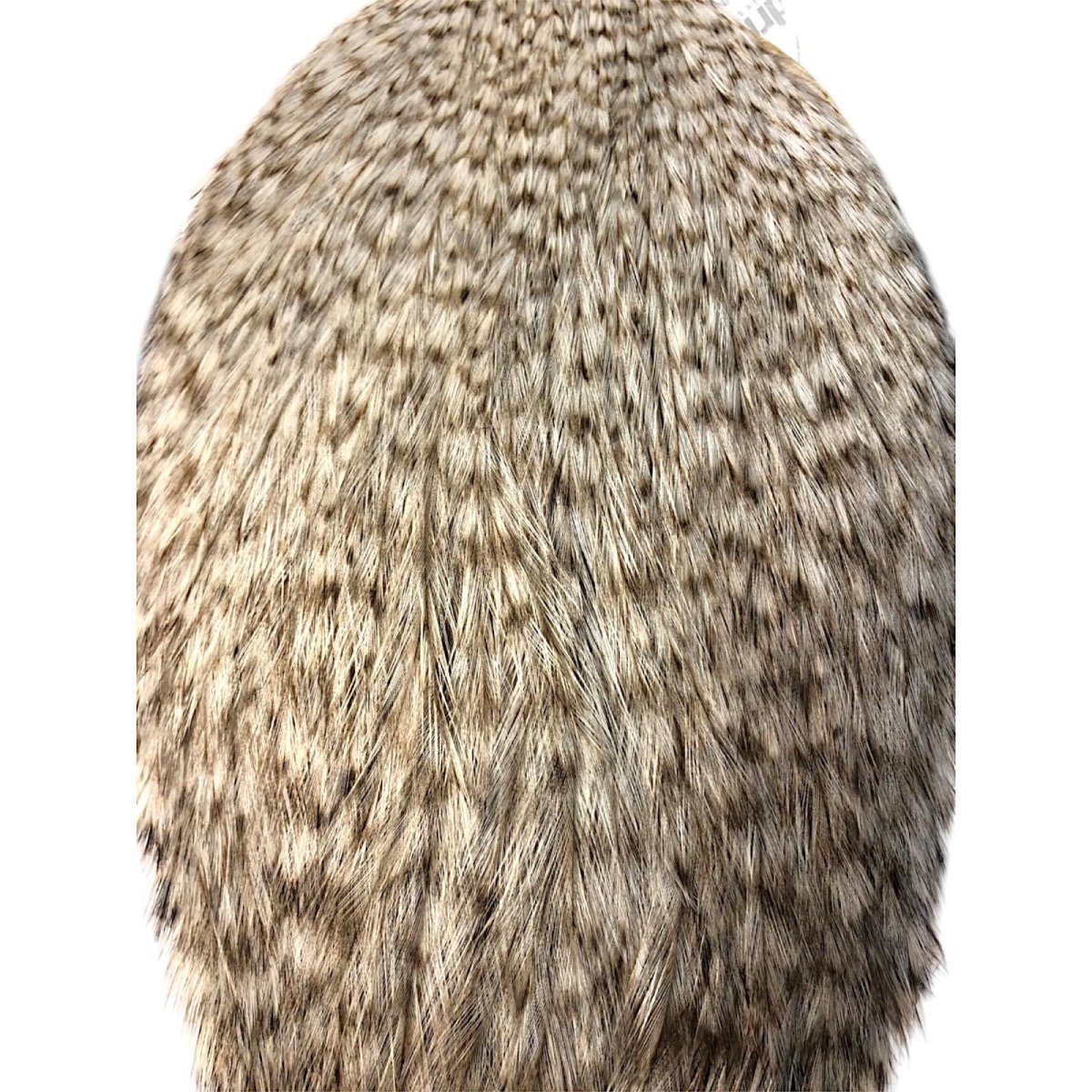 画像2: WHITING Coq de Leon Rooster Cape ルースターケープ グリズリーパルド RC8 ホワイティング  (2)