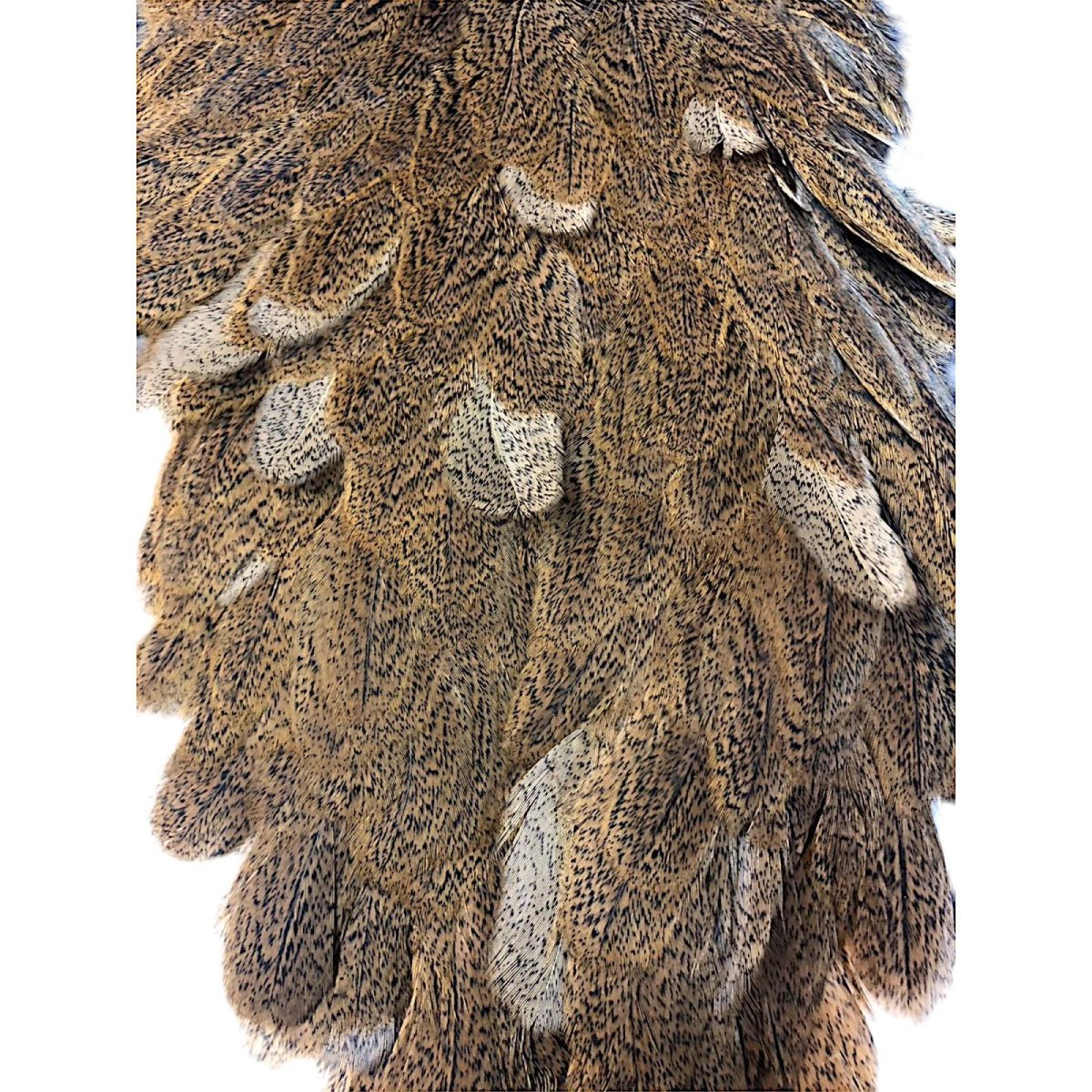 画像3: WHITING Coq de Leon Hen Saddle ヘンサドル ジンジャースペックルド HS1 ホワイティング  (3)