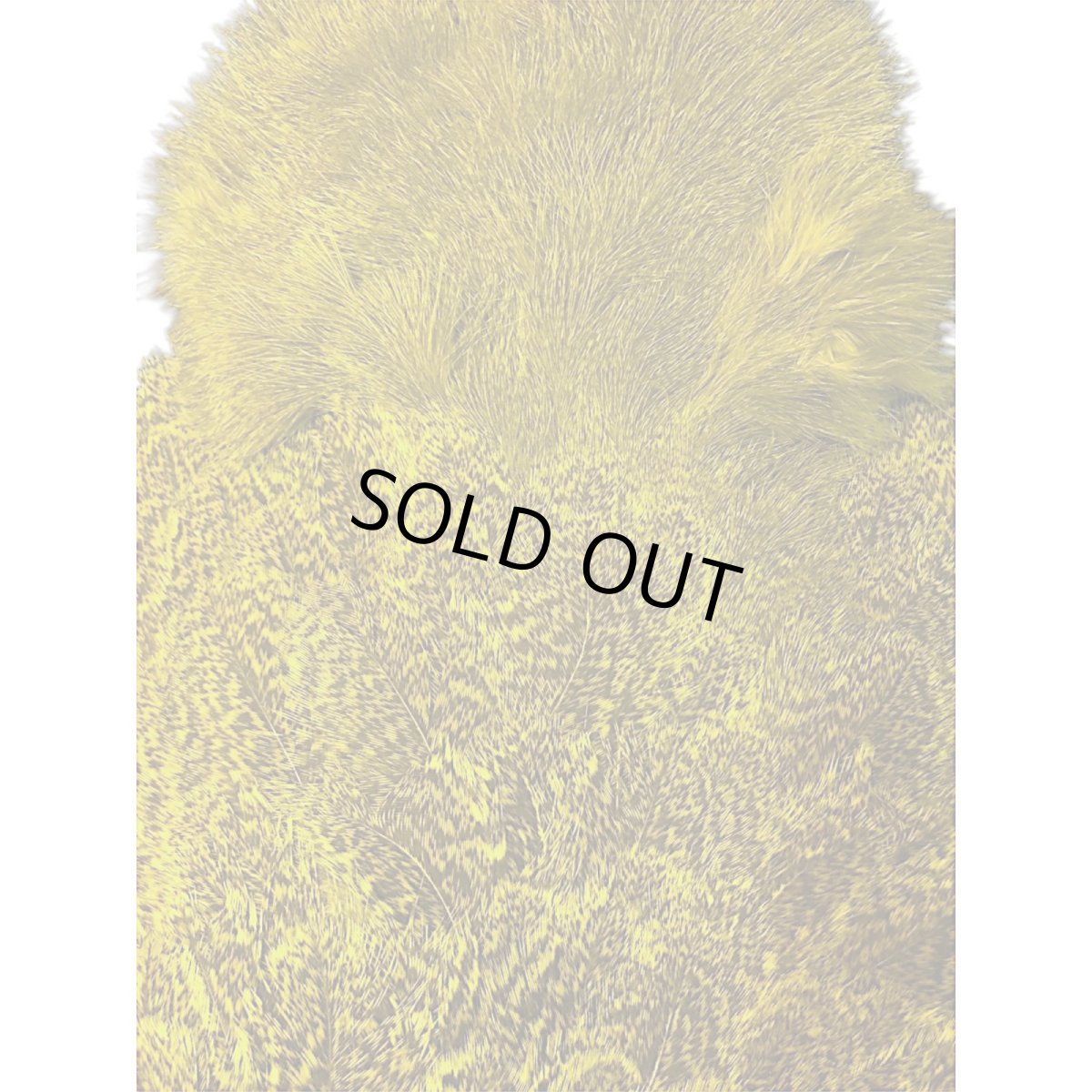 画像3: WHITING Coq de Leon Rooster & Hen Soft Hackle with Chickabou チカブー FLイエローチャート CB6 ホワイティング  (3)